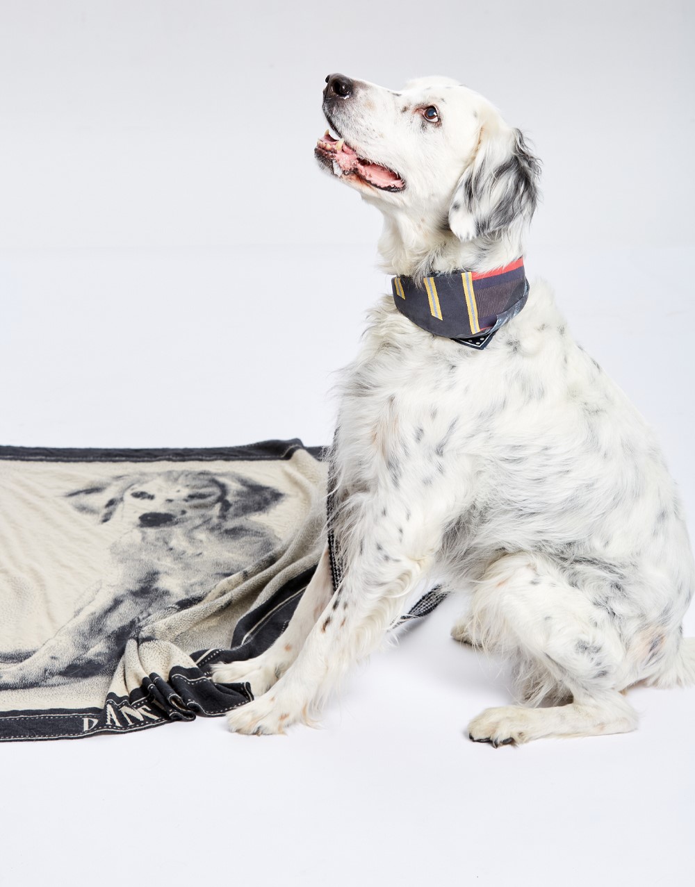 Jacquard Blanket 85x105