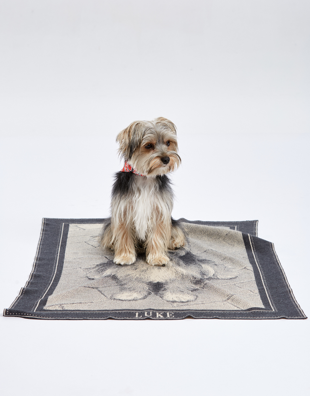 Customizable Jacquard Blanket | Faliero Sarti Pet Blanket