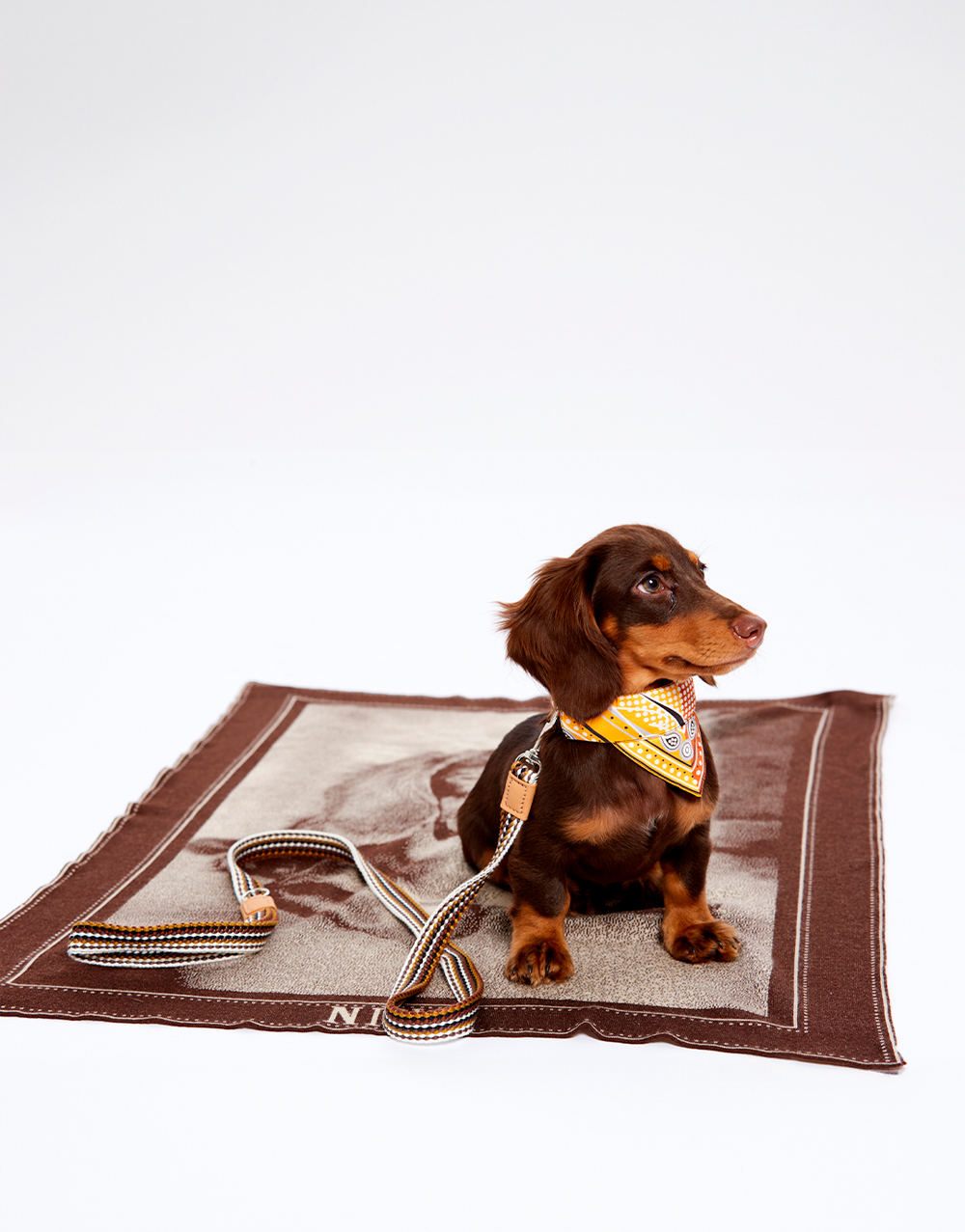 Jacquard Blanket 85x105